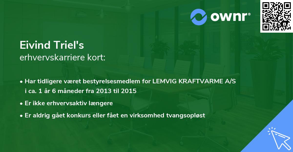 Eivind Triel's erhvervskarriere kort