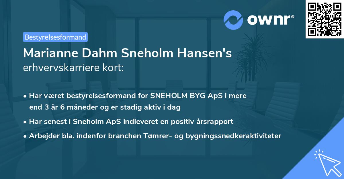 Marianne Dahm Sneholm Hansen's erhvervskarriere kort
