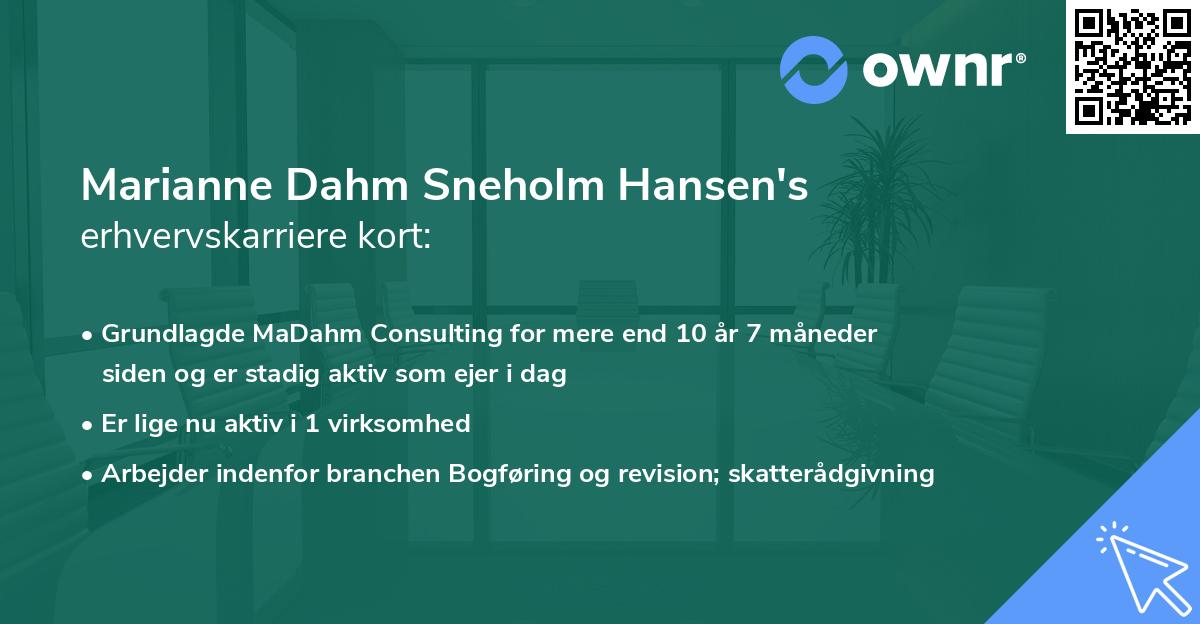 Marianne Dahm Sneholm Hansen's erhvervskarriere kort