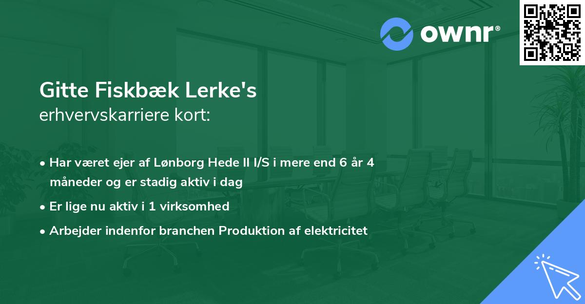 Gitte Fiskbæk Lerke's erhvervskarriere kort