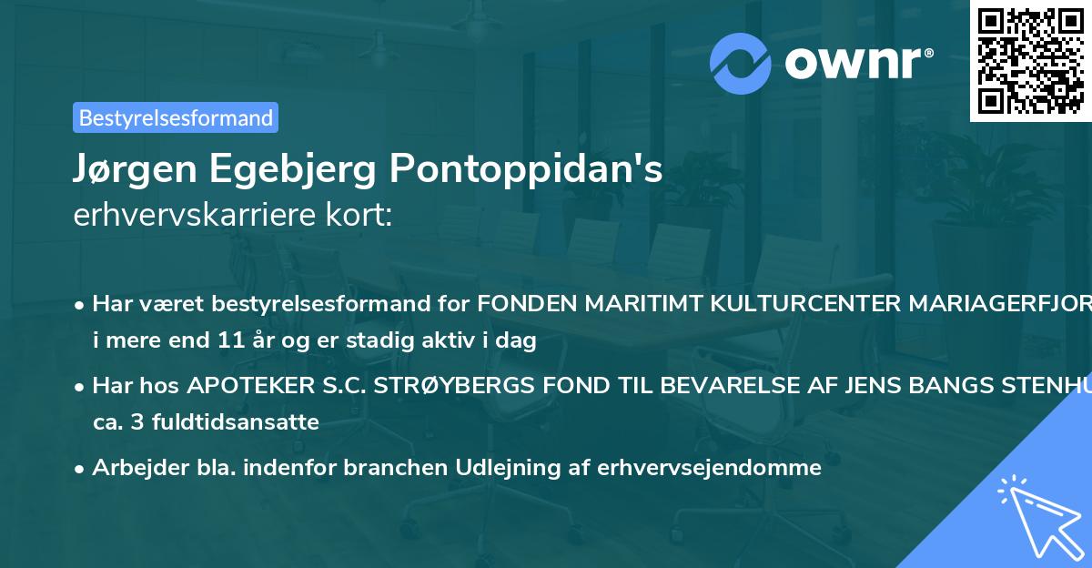 Jørgen Egebjerg Pontoppidan's erhvervskarriere kort