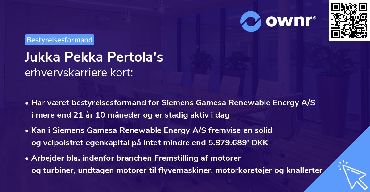 Jukka Pekka Pertola's erhvervskarriere kort