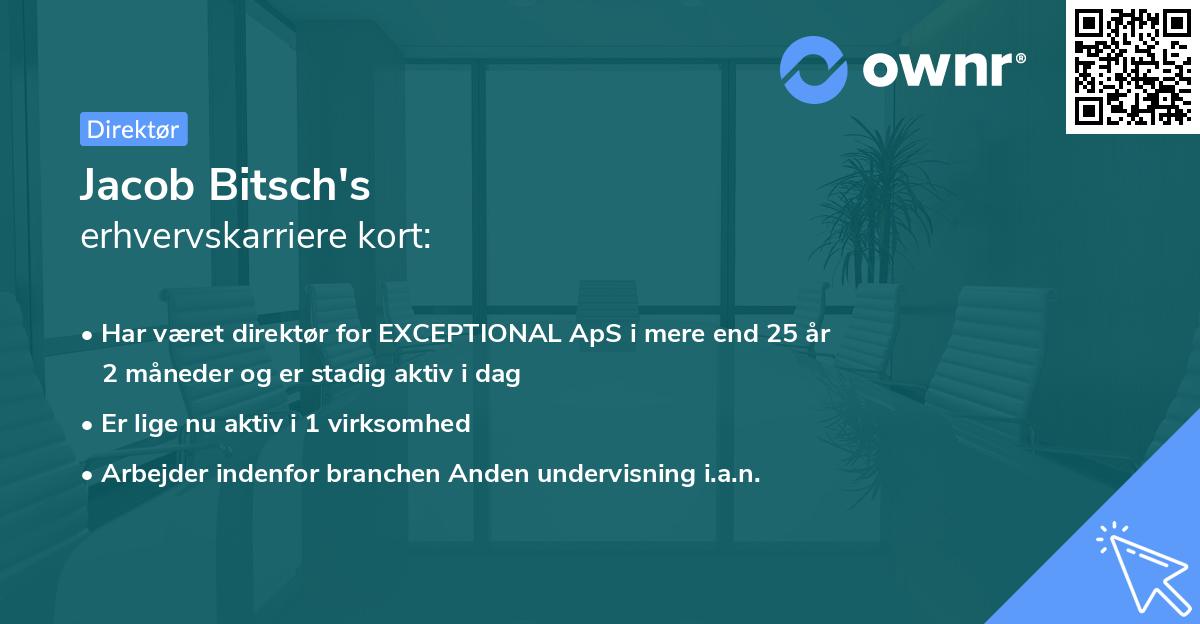 Jacob Bitsch's erhvervskarriere kort