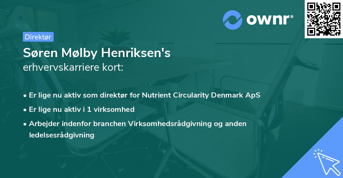 Søren Mølby Henriksen's erhvervskarriere kort