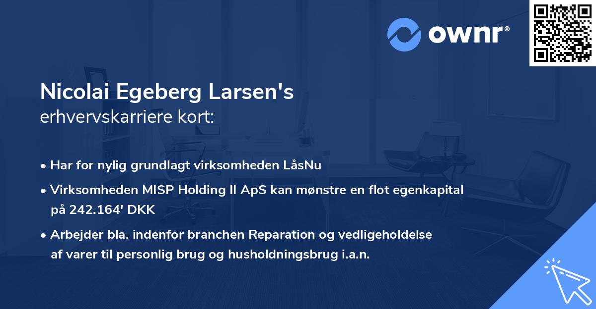 Nicolai Egeberg Larsen's erhvervskarriere kort