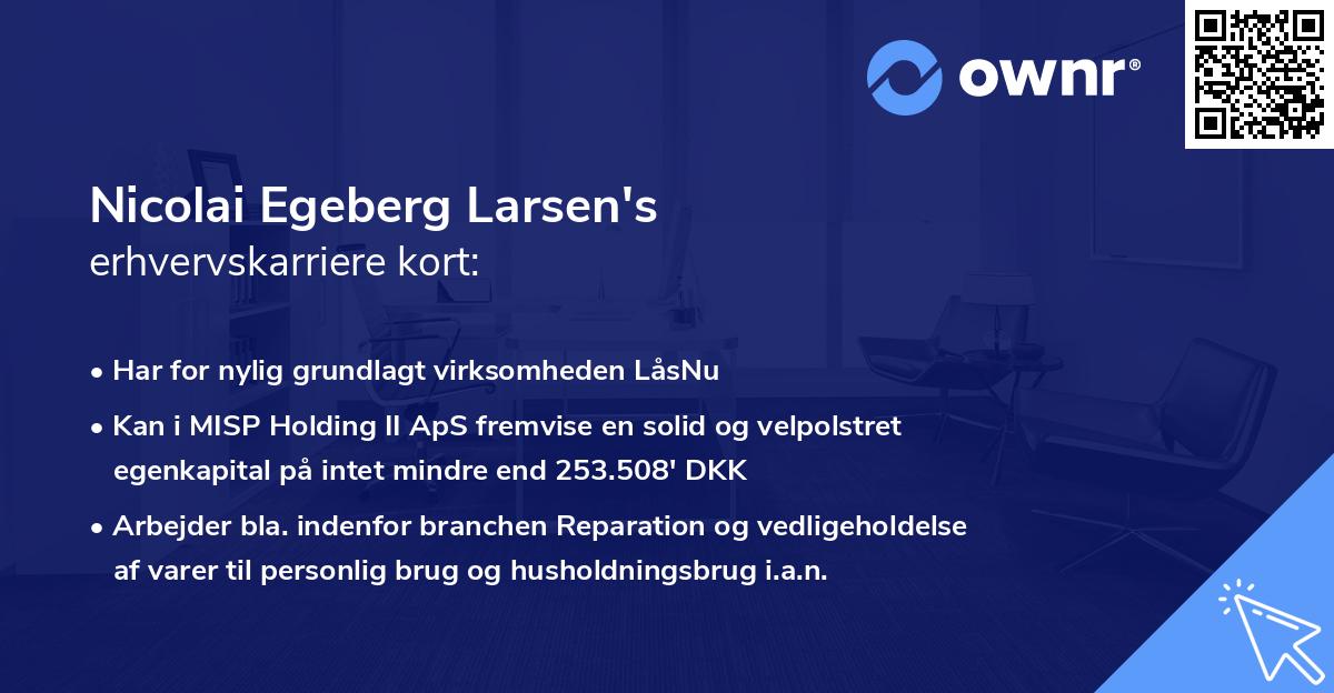 Nicolai Egeberg Larsen's erhvervskarriere kort