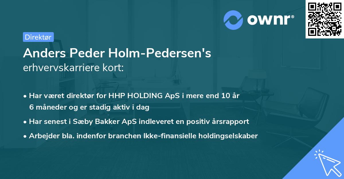 Anders Peder Holm-Pedersen's erhvervskarriere kort