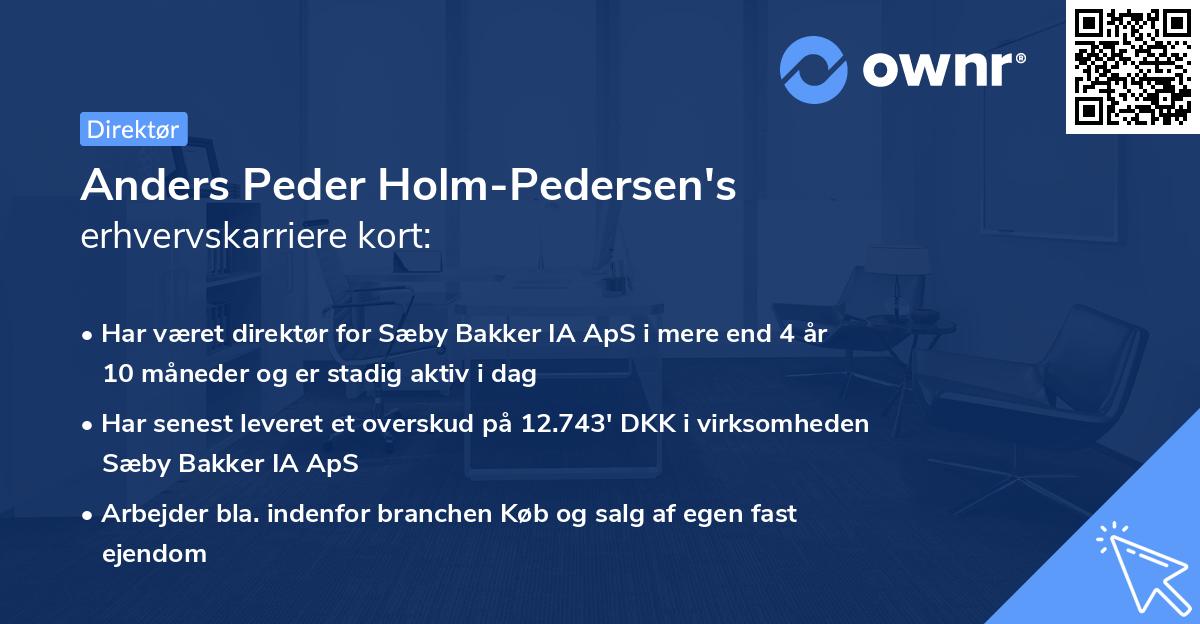 Anders Peder Holm-Pedersen's erhvervskarriere kort