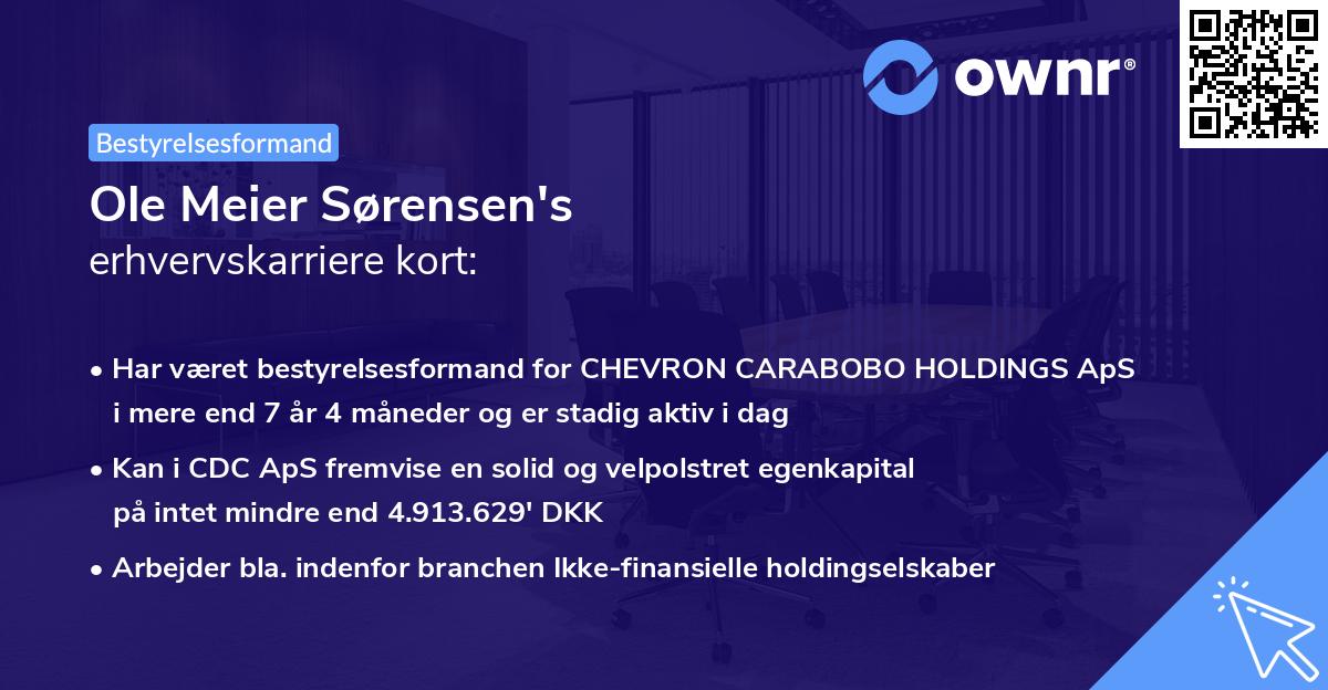 Ole Meier Sørensen's erhvervskarriere kort