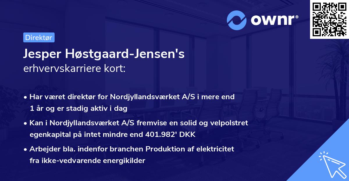 Jesper Høstgaard-Jensen's erhvervskarriere kort