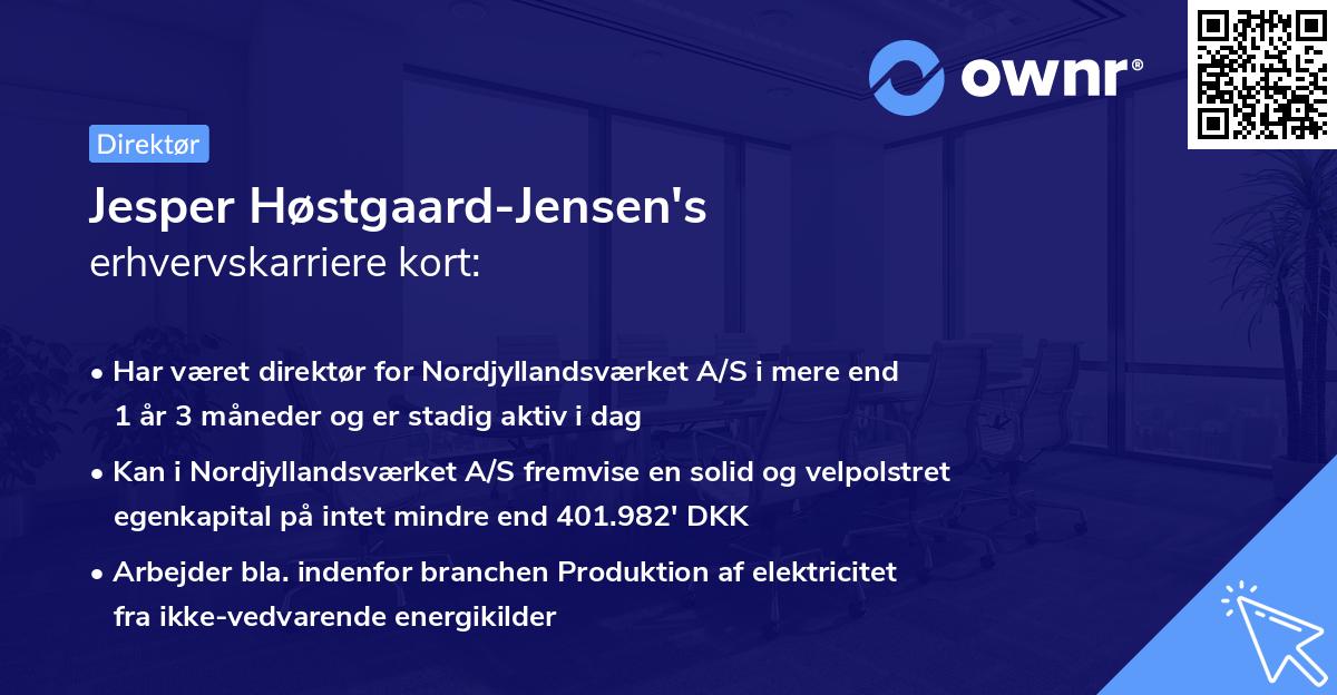 Jesper Høstgaard-Jensen's erhvervskarriere kort