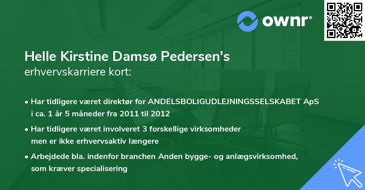 Helle Kirstine Damsø Pedersen's erhvervskarriere kort