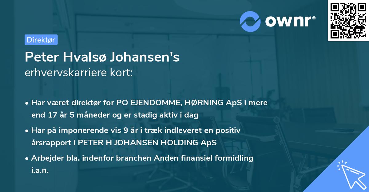 Peter Hvalsø Johansen's erhvervskarriere kort
