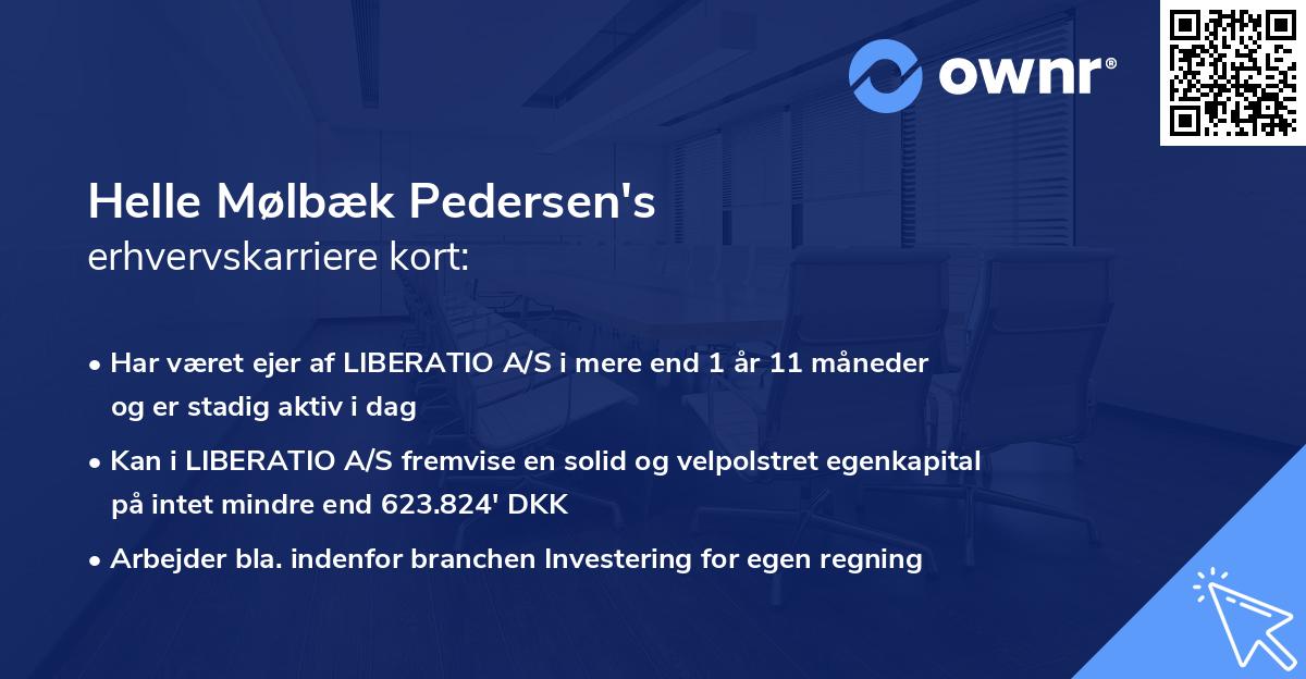 Helle Mølbæk Pedersen's erhvervskarriere kort