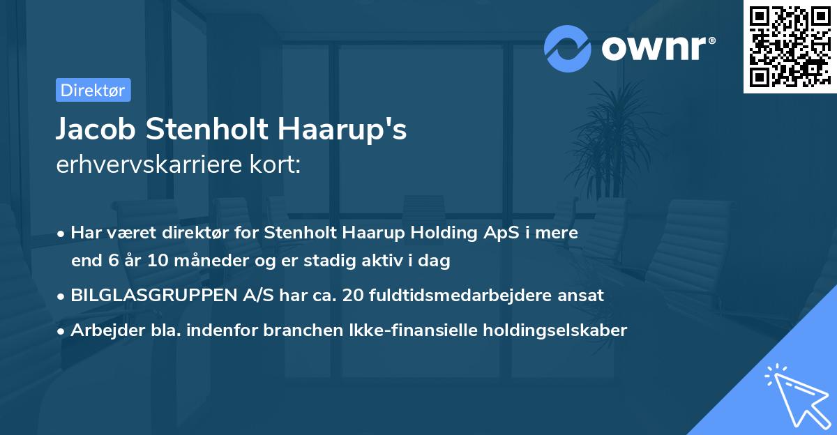 Jacob Stenholt Haarup's erhvervskarriere kort