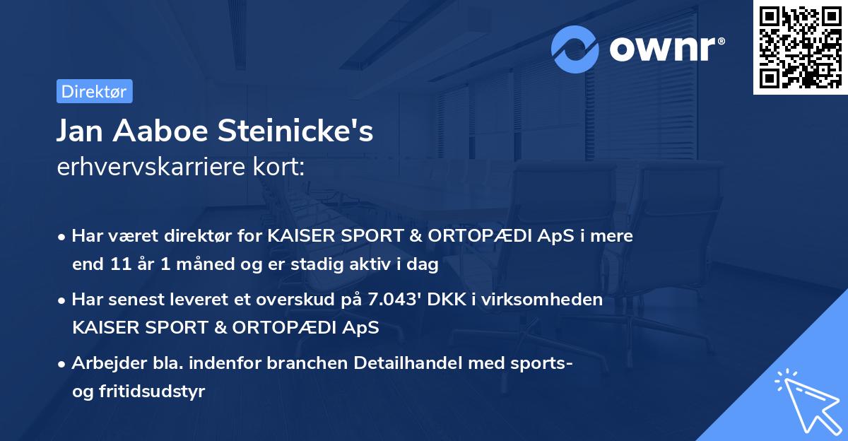 Jan Aaboe Steinicke's erhvervskarriere kort