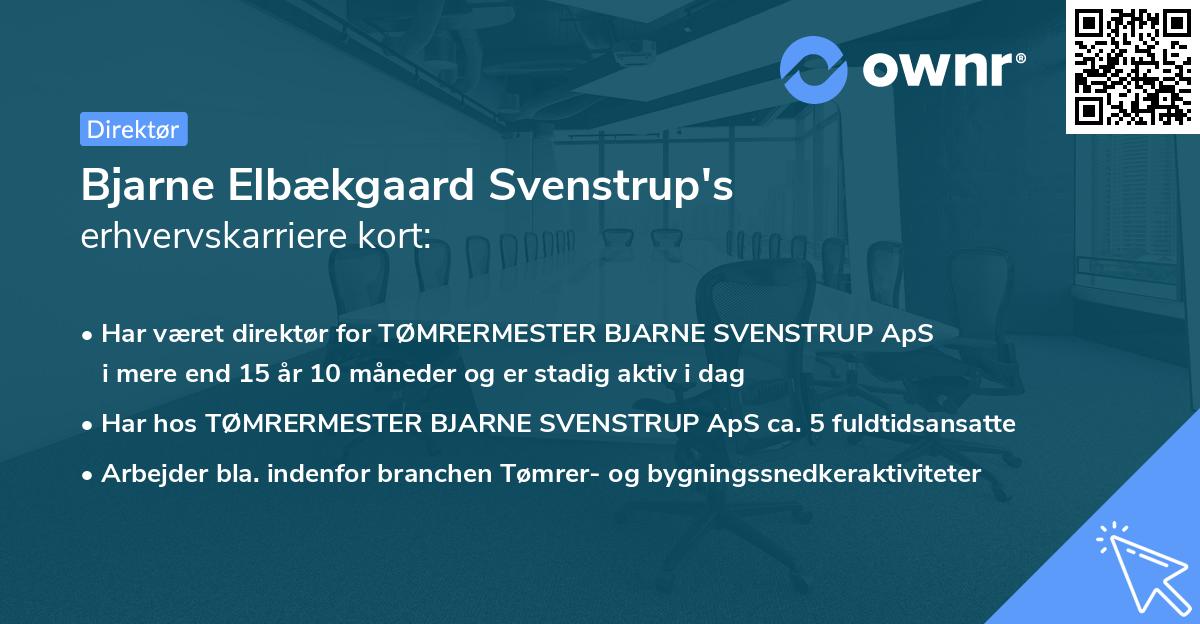 Bjarne Elbækgaard Svenstrup's erhvervskarriere kort