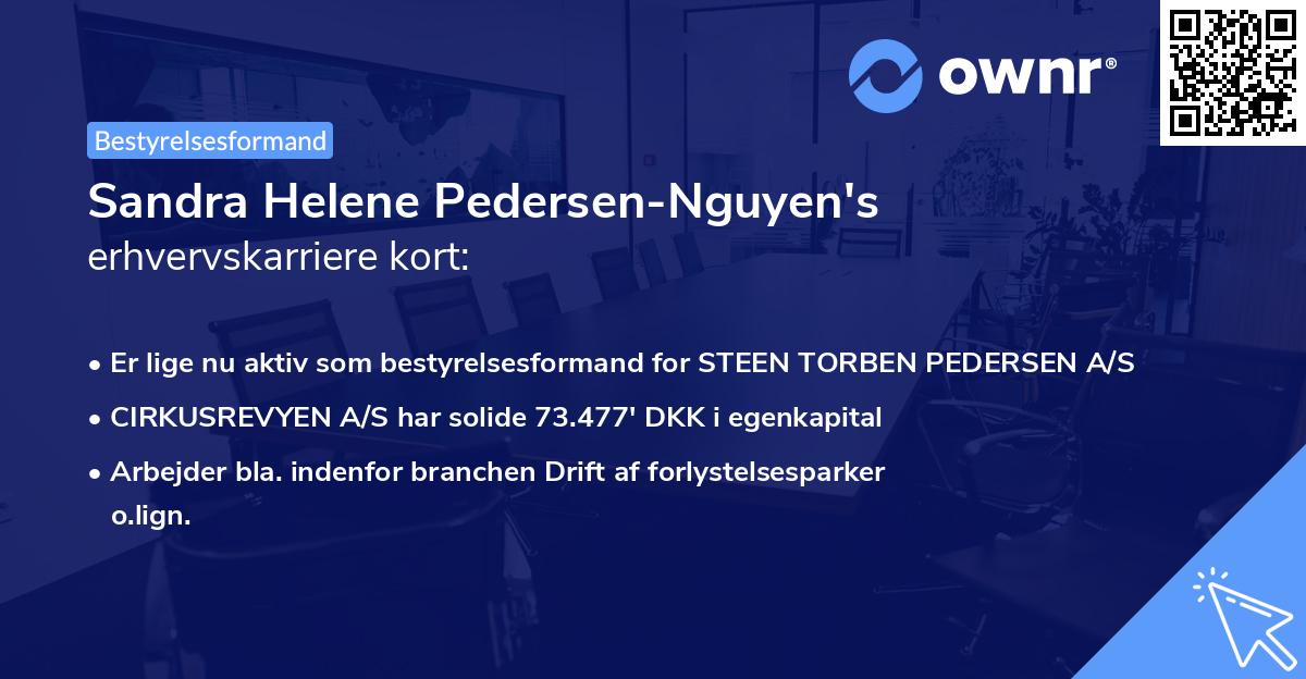 Sandra Helene Pedersen-Nguyen's erhvervskarriere kort