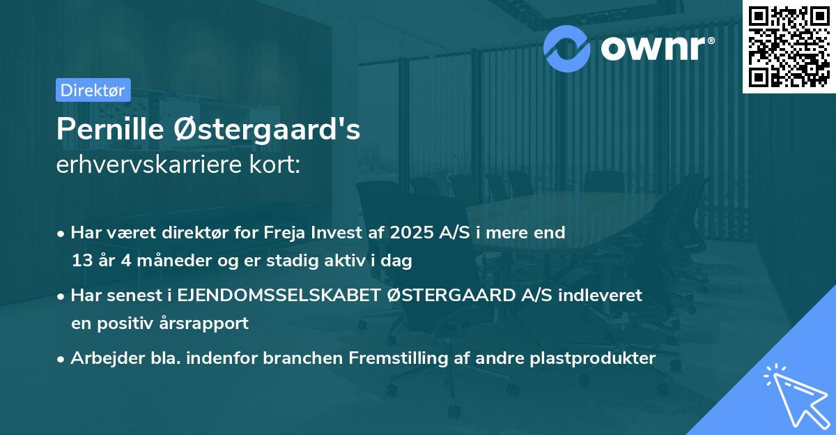 Pernille Østergaard's erhvervskarriere kort