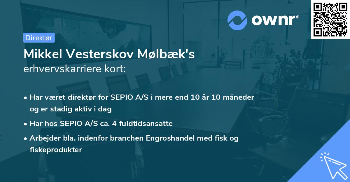 Mikkel Vesterskov Mølbæk's erhvervskarriere kort