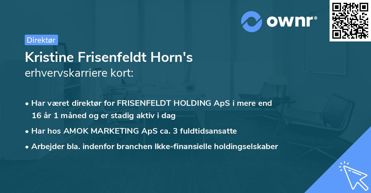 Kristine Frisenfeldt Horn's erhvervskarriere kort