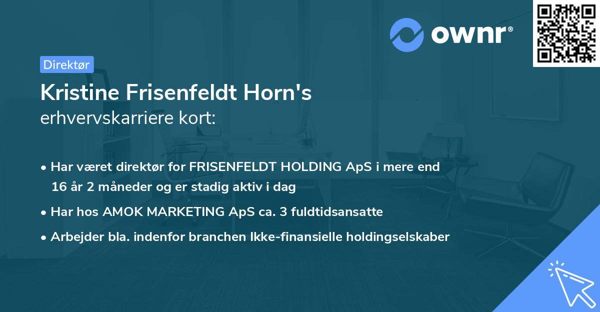 Kristine Frisenfeldt Horn's erhvervskarriere kort