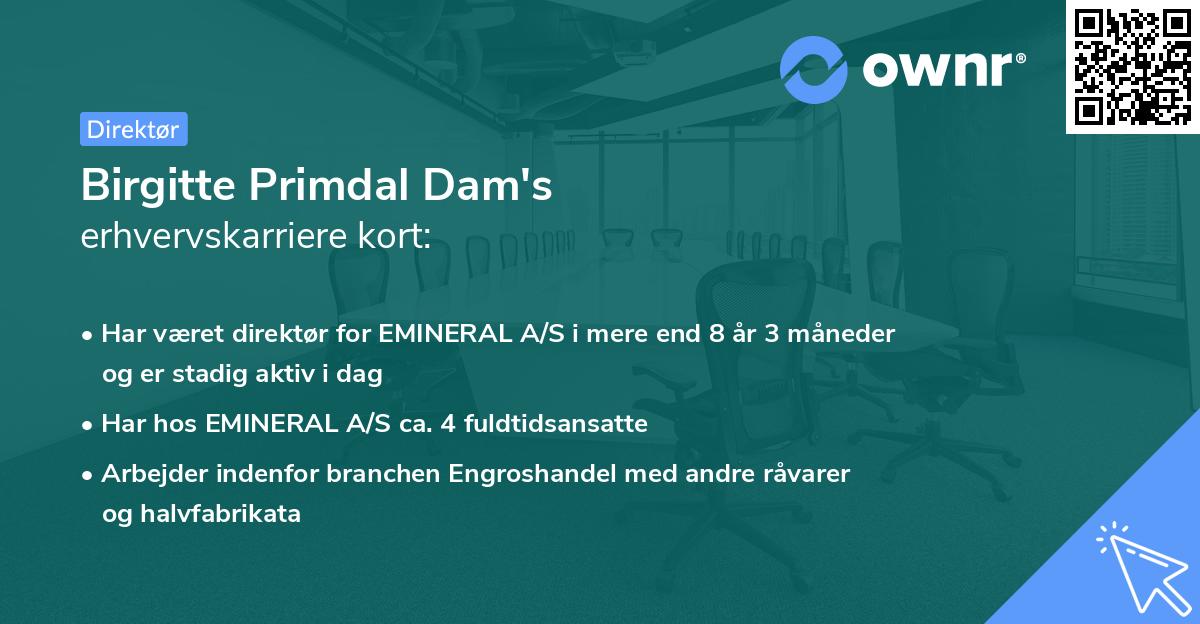 Birgitte Primdal Dam's erhvervskarriere kort