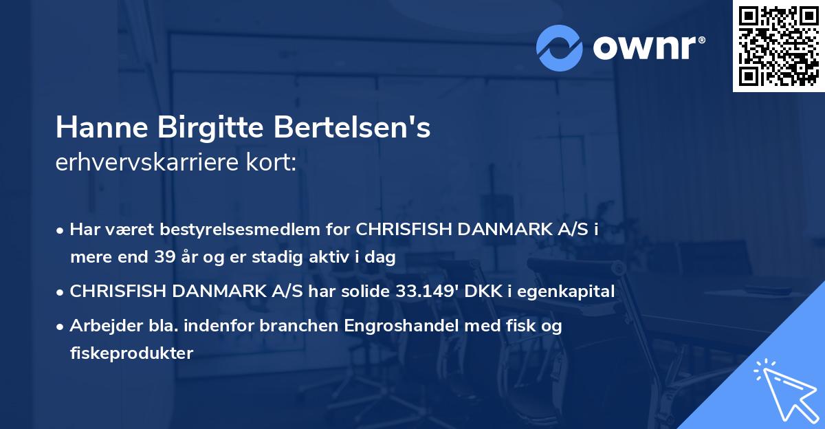 Hanne Birgitte Bertelsen's erhvervskarriere kort