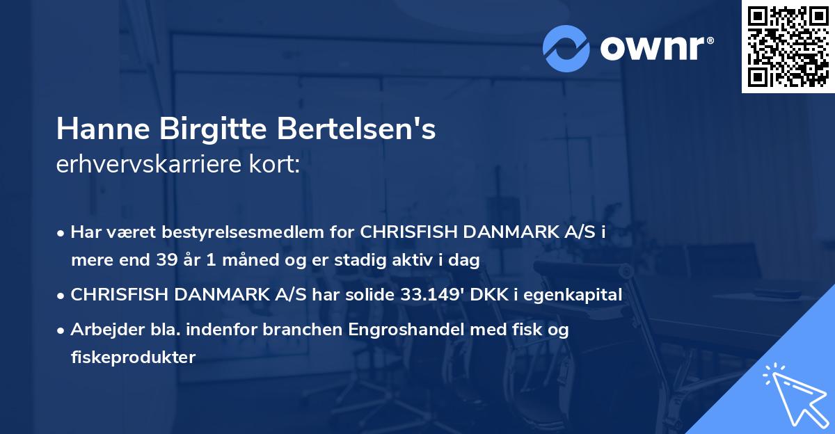 Hanne Birgitte Bertelsen's erhvervskarriere kort