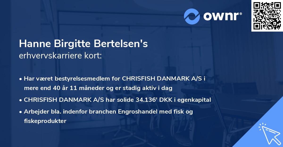 Hanne Birgitte Bertelsen's erhvervskarriere kort
