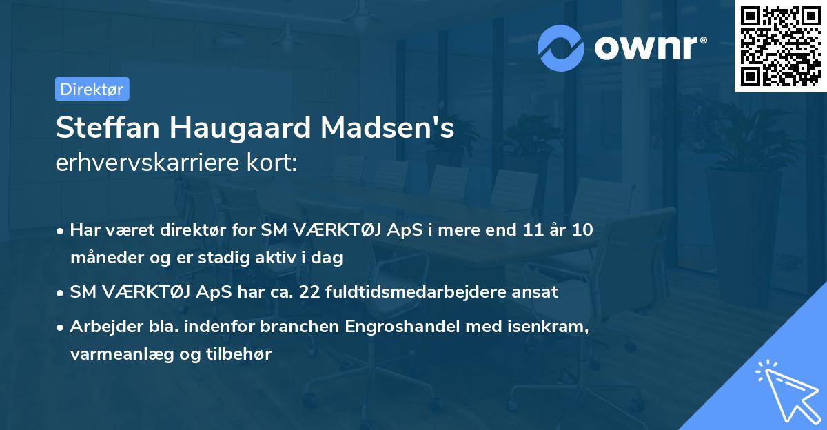 Steffan Haugaard Madsen's erhvervskarriere kort
