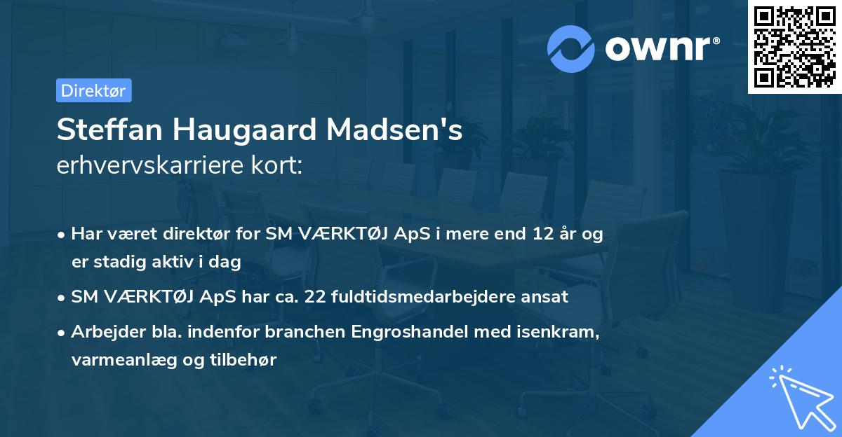 Steffan Haugaard Madsen's erhvervskarriere kort