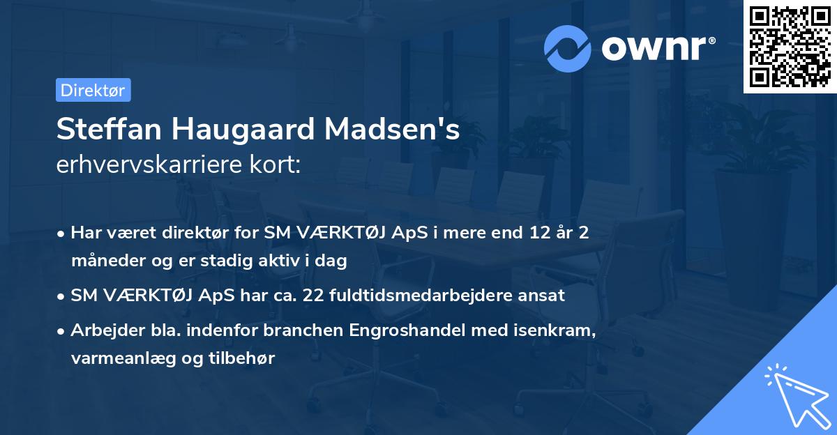 Steffan Haugaard Madsen's erhvervskarriere kort