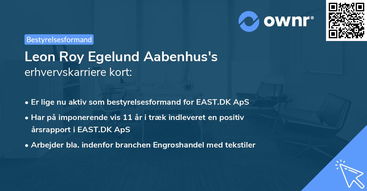 Leon Roy Egelund Aabenhus's erhvervskarriere kort