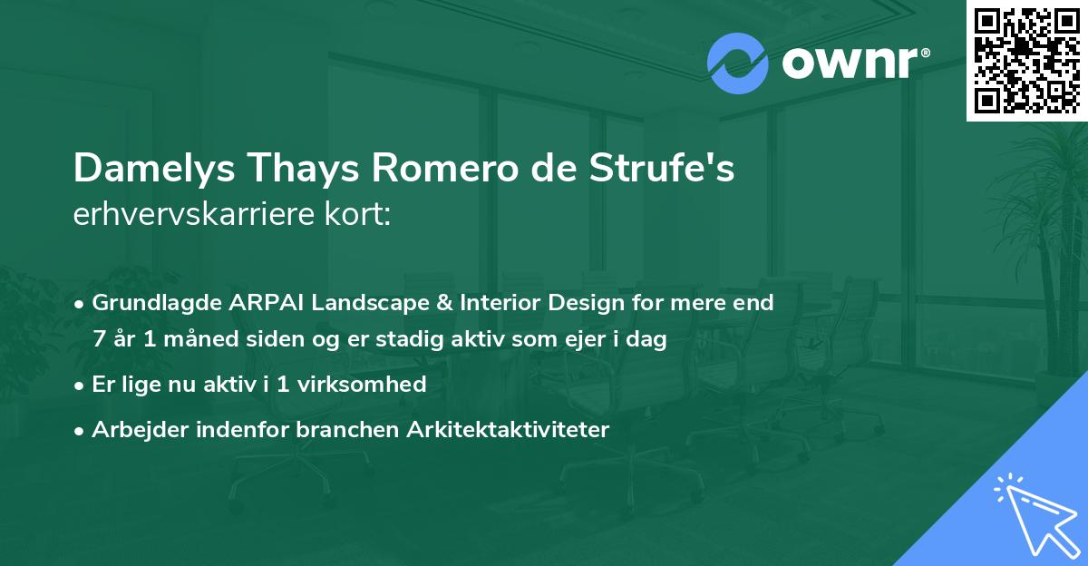 Damelys Thays Romero de Strufe's erhvervskarriere kort