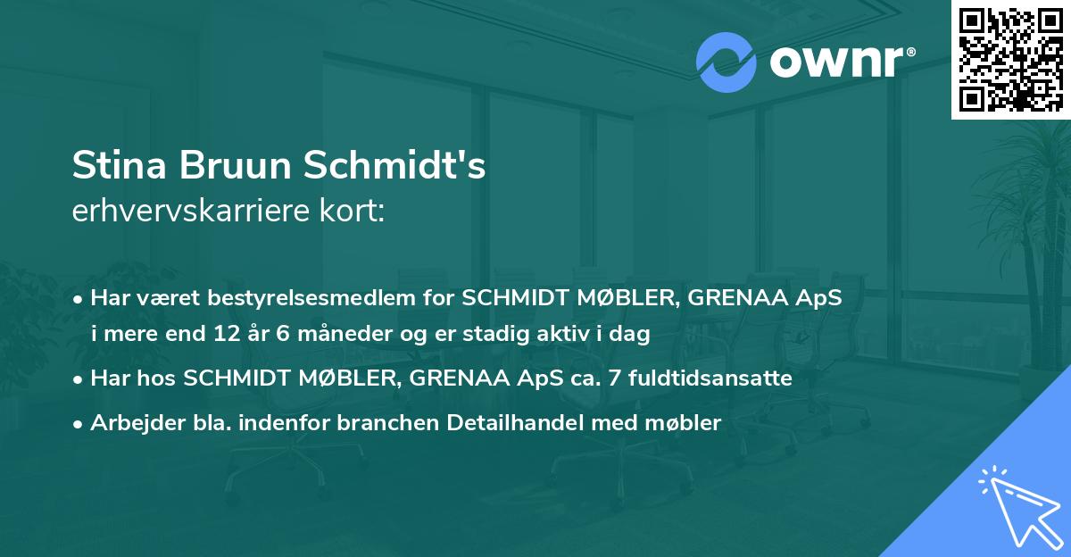 Stina Bruun Schmidt's erhvervskarriere kort