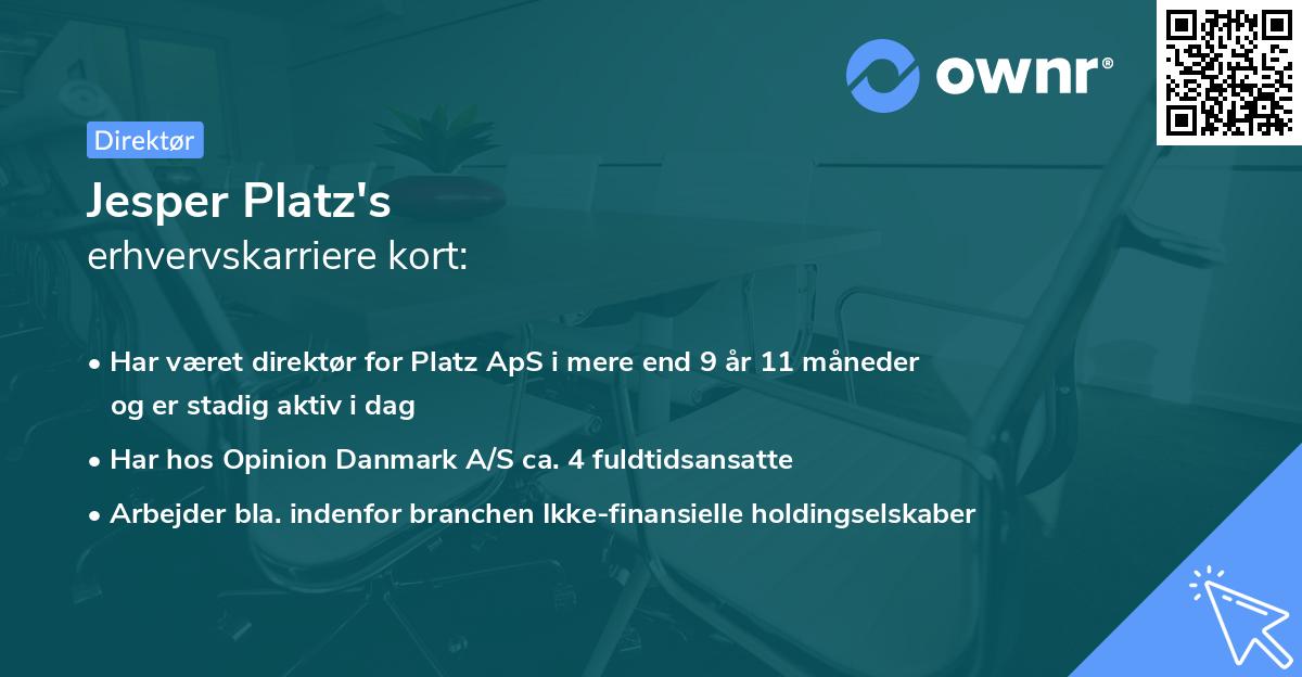 Jesper Platz's erhvervskarriere kort
