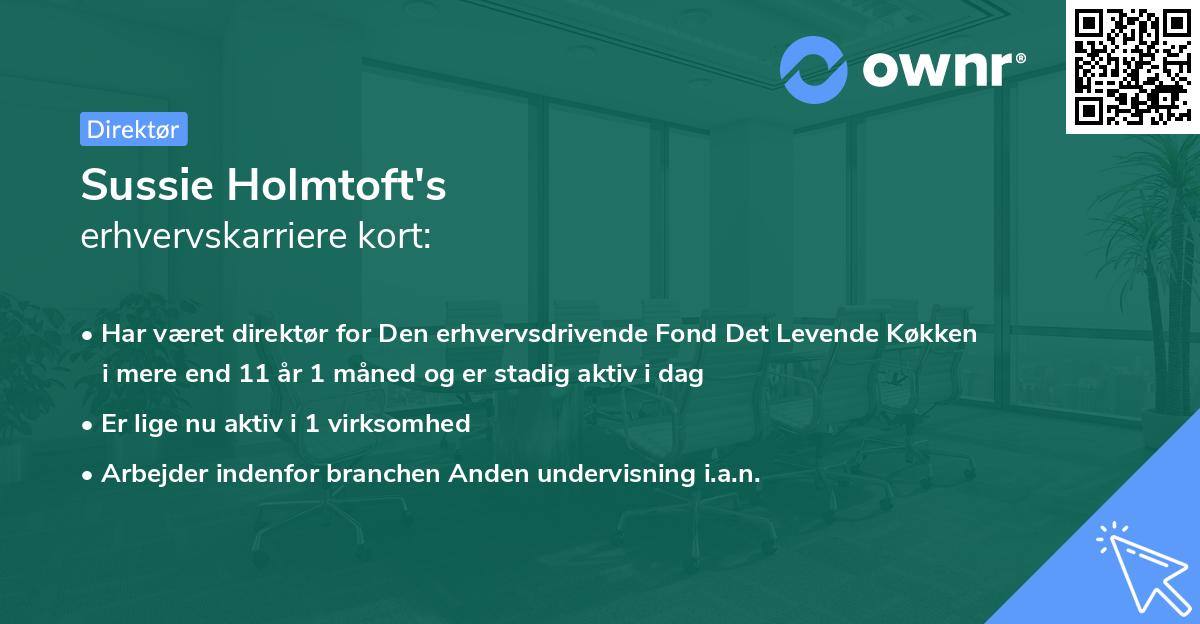 Sussie Holmtoft's erhvervskarriere kort