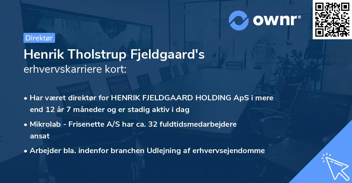 Henrik Tholstrup Fjeldgaard's erhvervskarriere kort