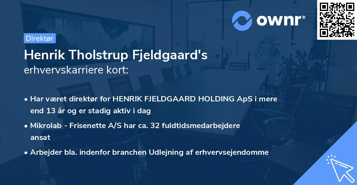 Henrik Tholstrup Fjeldgaard's erhvervskarriere kort