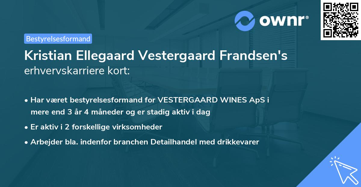 Kristian Ellegaard Vestergaard Frandsen's erhvervskarriere kort