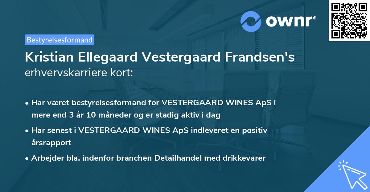 Kristian Ellegaard Vestergaard Frandsen's erhvervskarriere kort