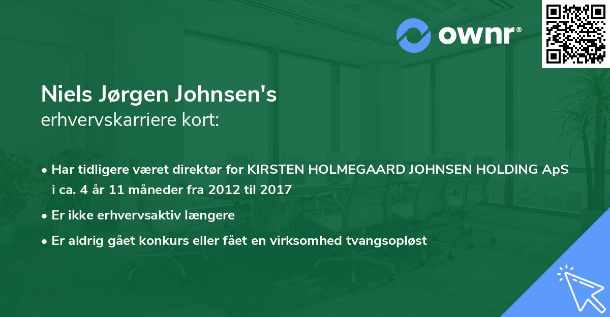 Niels Jørgen Johnsen's erhvervskarriere kort