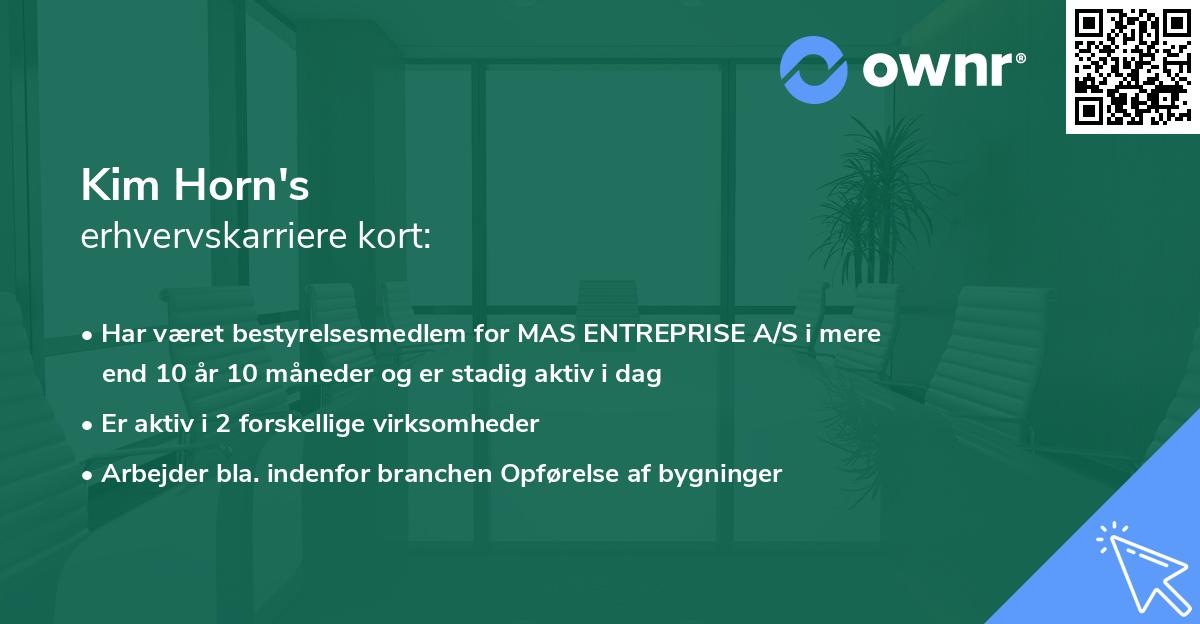 Kim Horn's erhvervskarriere kort