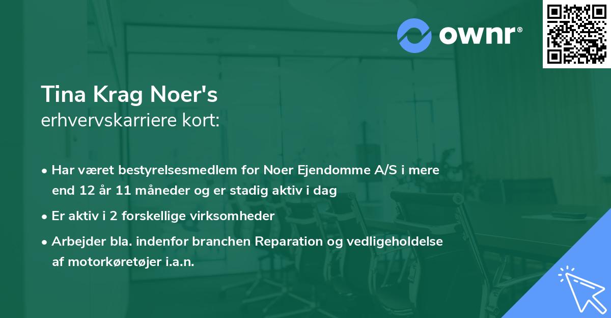 Tina Krag Noer's erhvervskarriere kort