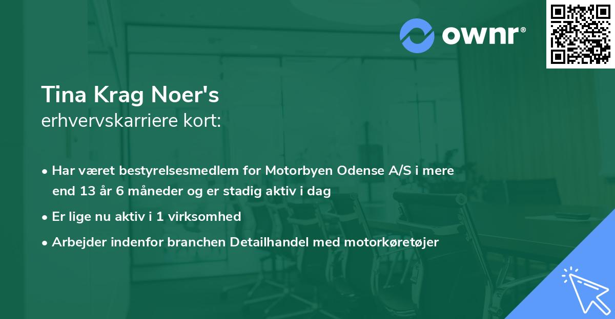 Tina Krag Noer's erhvervskarriere kort