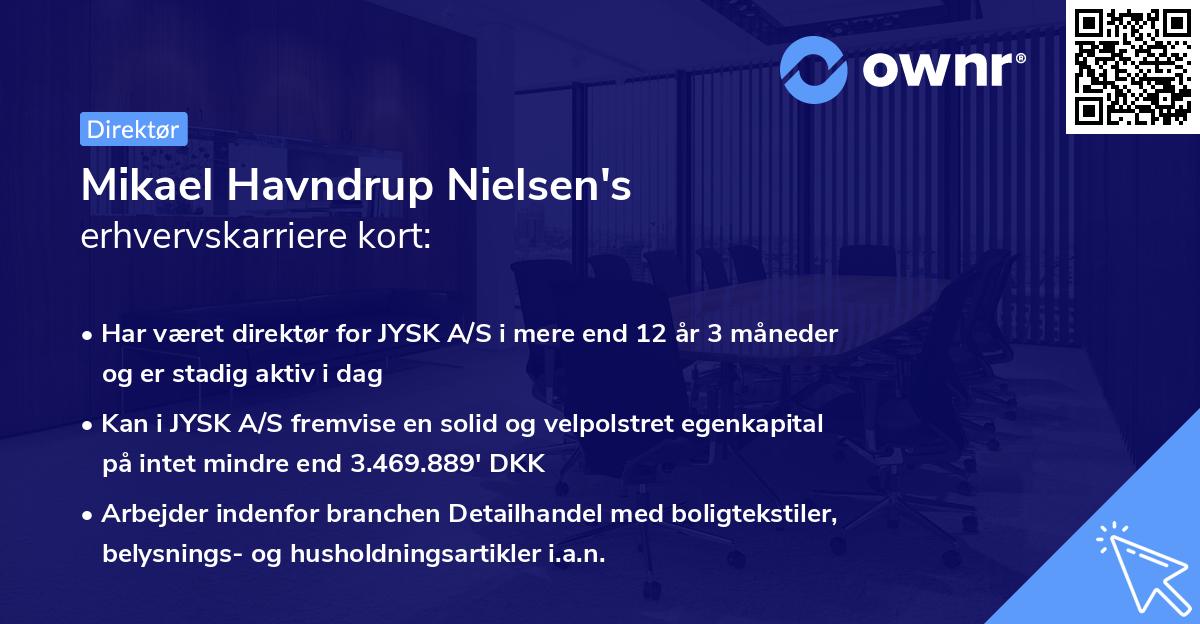 Mikael Havndrup Nielsen's erhvervskarriere kort