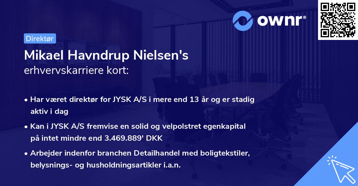 Mikael Havndrup Nielsen's erhvervskarriere kort