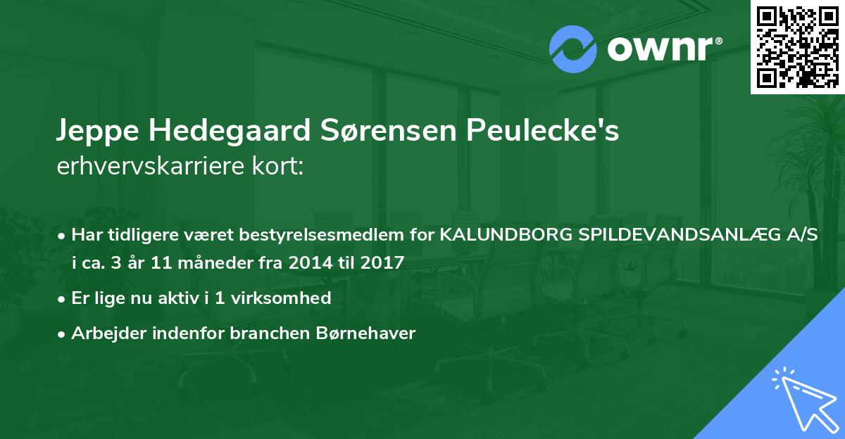 Jeppe Hedegaard Sørensen Peulecke's erhvervskarriere kort