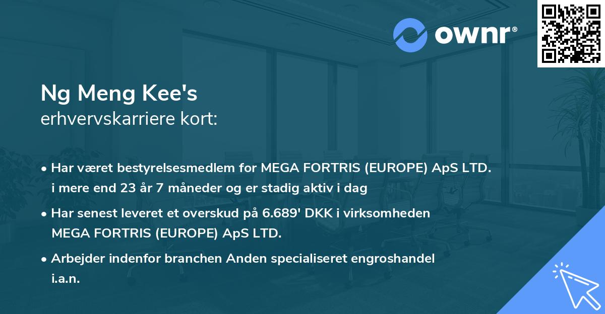 Ng Meng Kee's erhvervskarriere kort